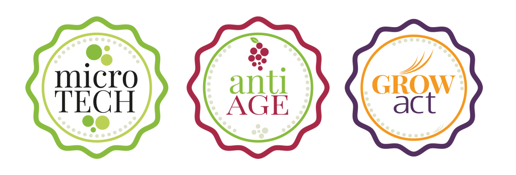 tre impronte timbri stilizzati verde viola blue con scritte