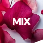 Mix